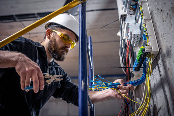 Best Generator Installation Services  in Houghton, NY